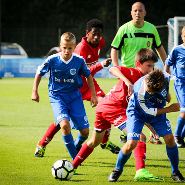 U13 - Standard