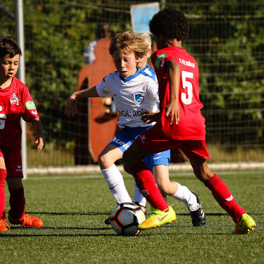 Foto's zaterdag 14 oktober