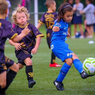 U8 - STVV