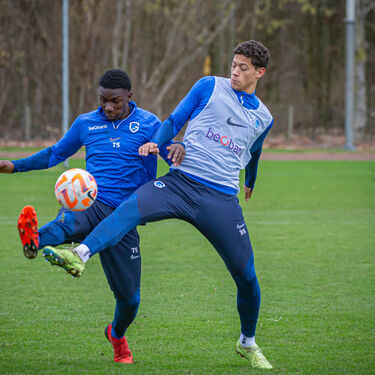 Stage Jong Genk