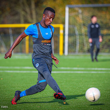 Training beloften