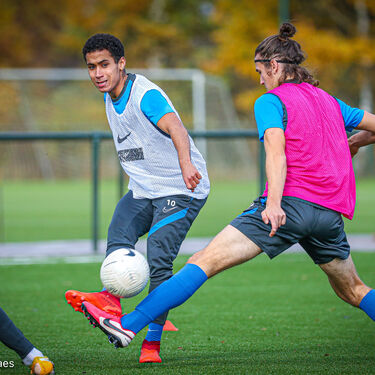 Training beloften