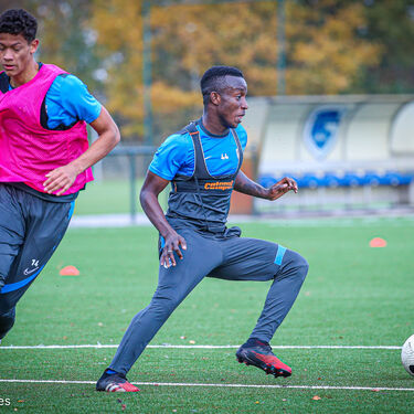Training beloften