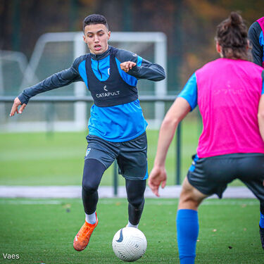 Training beloften