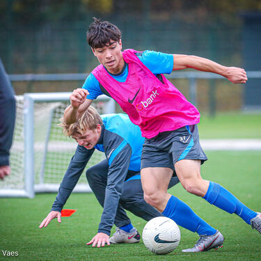 Training beloften