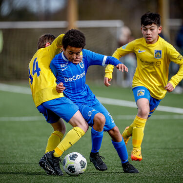 U13 - KVC Westerlo