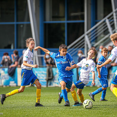 U14 - KVC Westerlo