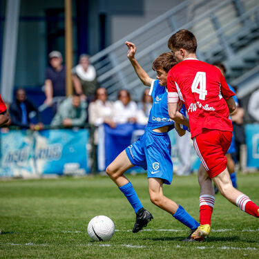 U16 - Standard
