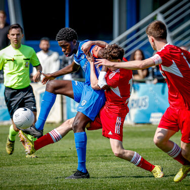 U16 - Standard