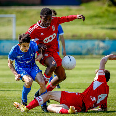 U16 - Standard