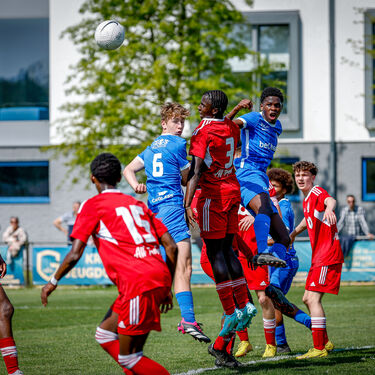 U16 - Standard