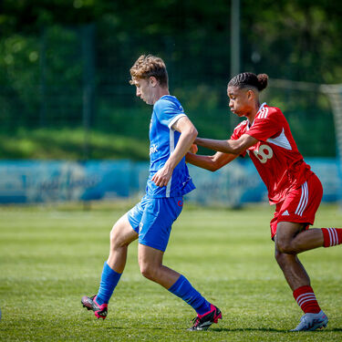 U16 - Standard